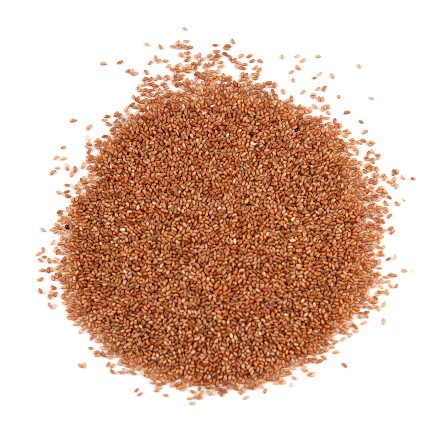 Teffpasta - Teff Teffpasta - Teff